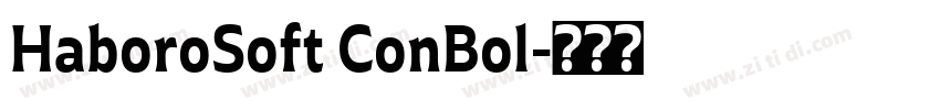 HaboroSoft ConBol字体转换 HaboroSoft ConBol字体转换